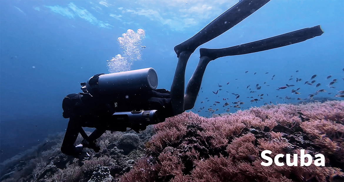 Cases, Bumpers, Covers